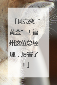 贝壳变“黄金”！福州这位总经理，厉害了！