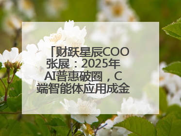 财跃星辰COO张展：2025年AI普惠破圈，C端智能体应用成金融转型关键