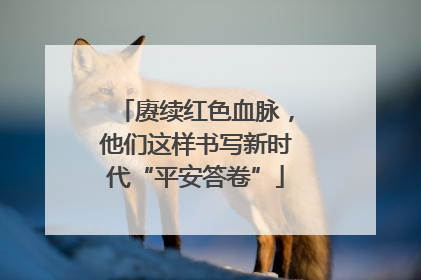 赓续红色血脉，他们这样书写新时代“平安答卷”