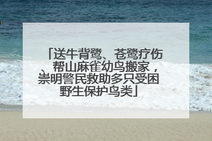 送牛背鹭、苍鹭疗伤、帮山麻雀幼鸟搬家，崇明警民救助多只受困野生保护鸟类