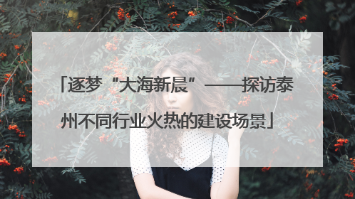 逐梦“大海新晨”——探访泰州不同行业火热的建设场景