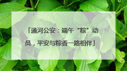 通河公安：端午“粽”动员，平安与粽香一路相伴