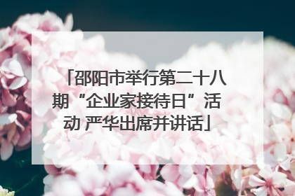 邵阳市举行第二十八期“企业家接待日”活动 严华出席并讲话