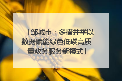 邹城市：多措并举以数据赋能绿色低碳高质量政务服务新模式