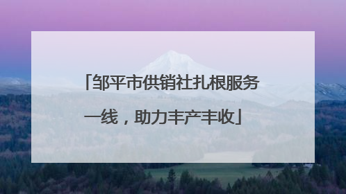 邹平市供销社扎根服务一线，助力丰产丰收