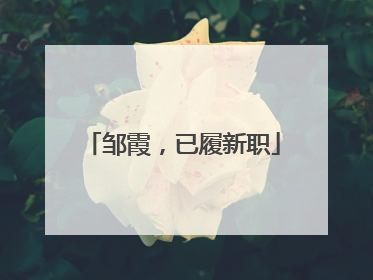 邹霞，已履新职