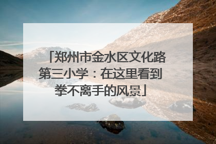郑州市金水区文化路第三小学：在这里看到拳不离手的风景