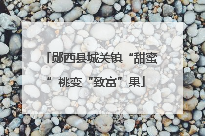 郧西县城关镇“甜蜜”桃变“致富”果