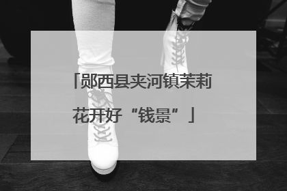 郧西县夹河镇茉莉花开好“钱景”