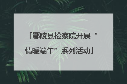 鄢陵县检察院开展“情暖端午”系列活动