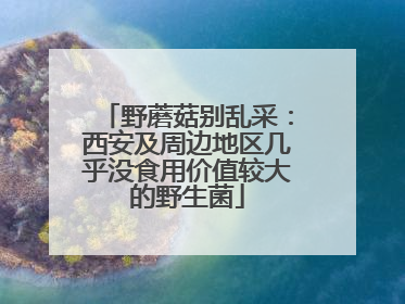 野蘑菇别乱采：西安及周边地区几乎没食用价值较大的野生菌