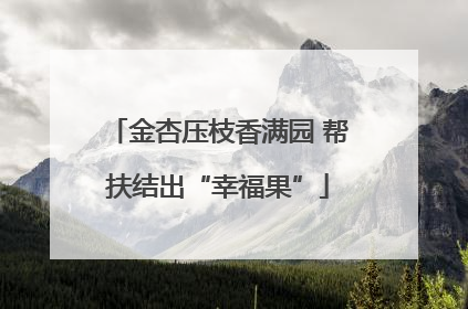 金杏压枝香满园 帮扶结出“幸福果”