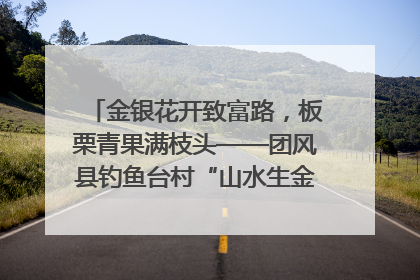 金银花开致富路，板栗青果满枝头——团风县钓鱼台村“山水生金”谱写共富新篇章