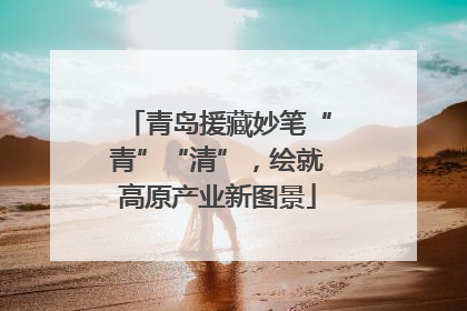 青岛援藏妙笔“青”“清”，绘就高原产业新图景