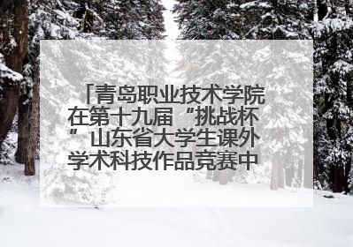 青岛职业技术学院在第十九届“挑战杯”山东省大学生课外学术科技作品竞赛中斩获佳绩