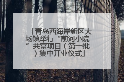 青岛西海岸新区大场镇举行“前河小院”共富项目（第一批）集中开业仪式