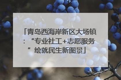 青岛西海岸新区大场镇：“专业社工+志愿服务”绘就民生新图景