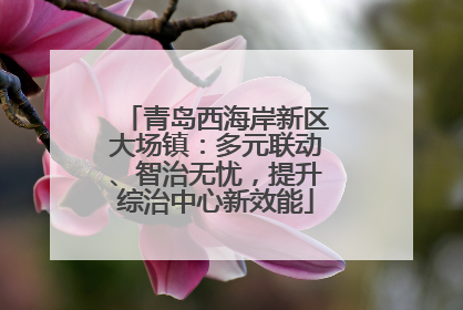 青岛西海岸新区大场镇：多元联动、智治无忧，提升综治中心新效能