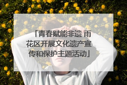 青春赋能非遗 雨花区开展文化遗产宣传和保护主题活动
