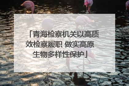 青海检察机关以高质效检察履职 做实高原生物多样性保护