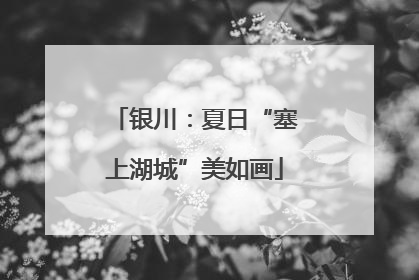 银川：夏日“塞上湖城”美如画