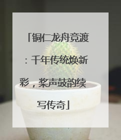 铜仁龙舟竞渡：千年传统焕新彩，桨声鼓韵续写传奇