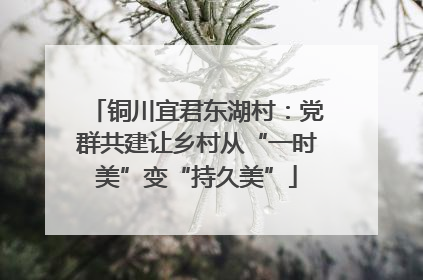 铜川宜君东湖村：党群共建让乡村从“一时美”变“持久美”