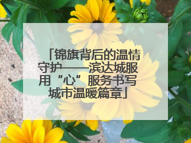 锦旗背后的温情守护——滨达城服用“心”服务书写城市温暖篇章