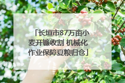长垣市87万亩小麦开镰收割 机械化作业保障夏粮归仓