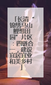 长清“锦绣马山 鲤想田园”片区：四链合一，建设宜居宜业和美乡村
