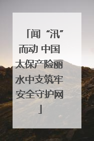 闻“汛”而动 中国太保产险丽水中支筑牢安全守护网