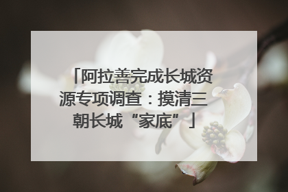 阿拉善完成长城资源专项调查：摸清三朝长城“家底”