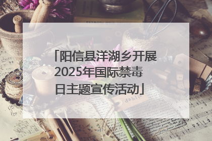阳信县洋湖乡开展2025年国际禁毒日主题宣传活动