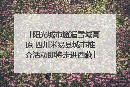 阳光城市邂逅雪域高原 四川米易县城市推介活动即将走进西藏