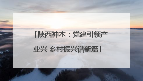陕西神木：党建引领产业兴 乡村振兴谱新篇