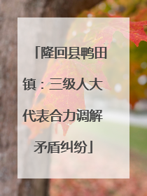 隆回县鸭田镇：三级人大代表合力调解矛盾纠纷