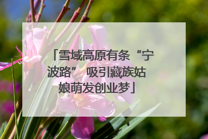 雪域高原有条“宁波路” 吸引藏族姑娘萌发创业梦