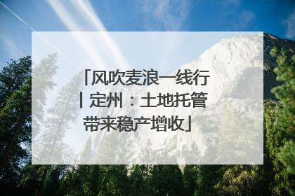 风吹麦浪一线行丨定州：土地托管带来稳产增收