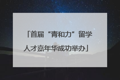 首届“青和力”留学人才嘉年华成功举办