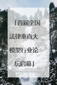 首届全国法律垂直大模型行业论坛启幕
