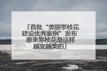 首批“美丽攀枝花建设优秀案例”发布 原来攀枝花是这样越变越美的