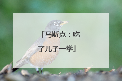 马斯克：吃了儿子一拳