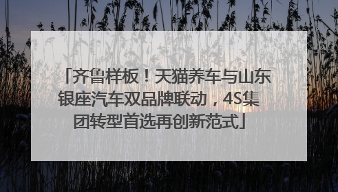 齐鲁样板！天猫养车与山东银座汽车双品牌联动，4S集团转型首选再创新范式