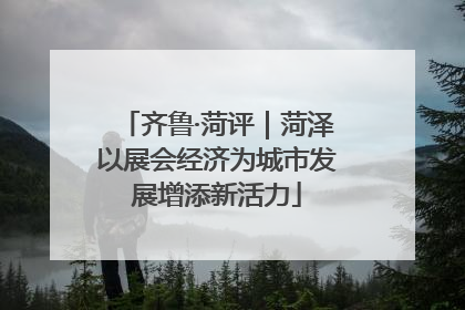 齐鲁·菏评｜菏泽以展会经济为城市发展增添新活力