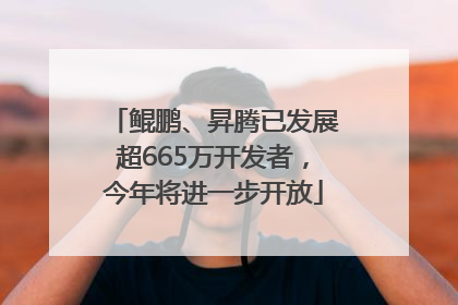 鲲鹏、昇腾已发展超665万开发者，今年将进一步开放