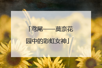 鸢尾——莫奈花园中的彩虹女神
