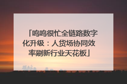 鸣鸣很忙全链路数字化升级：人货场协同效率刷新行业天花板