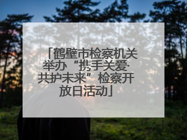 鹤壁市检察机关举办“携手关爱·共护未来”检察开放日活动