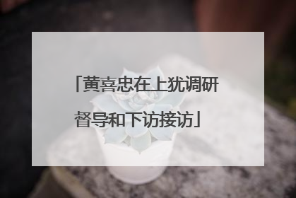 黄喜忠在上犹调研督导和下访接访