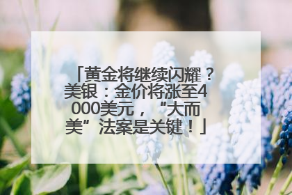 黄金将继续闪耀？美银：金价将涨至4000美元，“大而美”法案是关键！